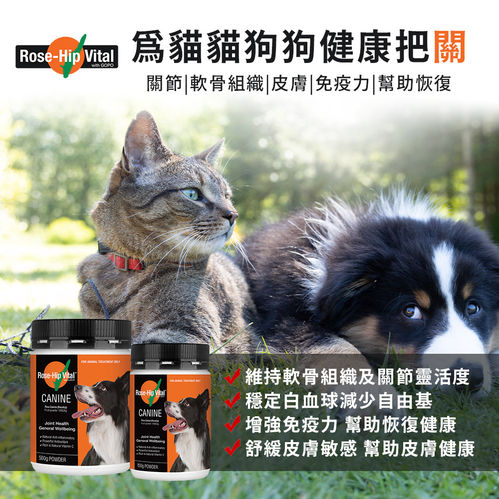 【組合】Rose-Hip Vital® Canine澳寵瑰寶®寵物營養保健粉 1.5kg + 500g