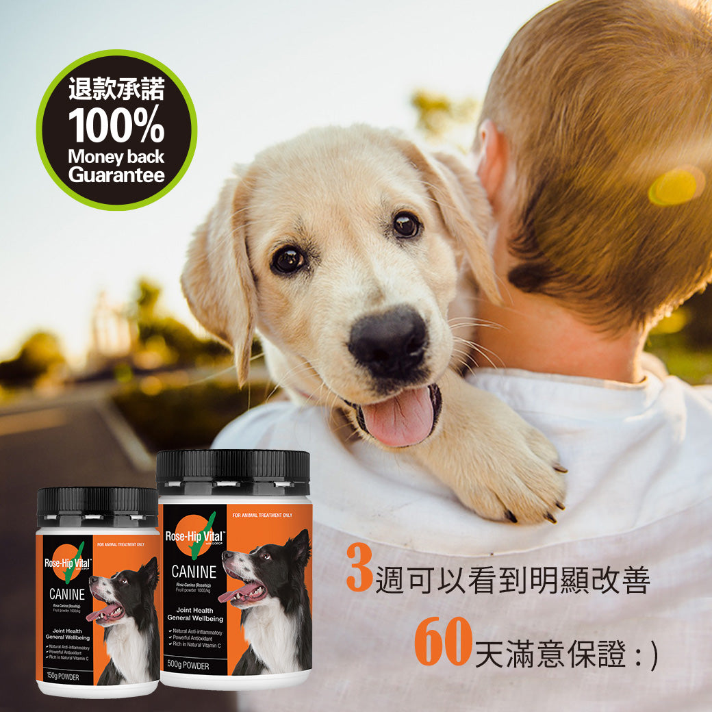 【組合】Rose-Hip Vital® Canine澳寵瑰寶®寵物營養保健粉 1.5kg + 500g