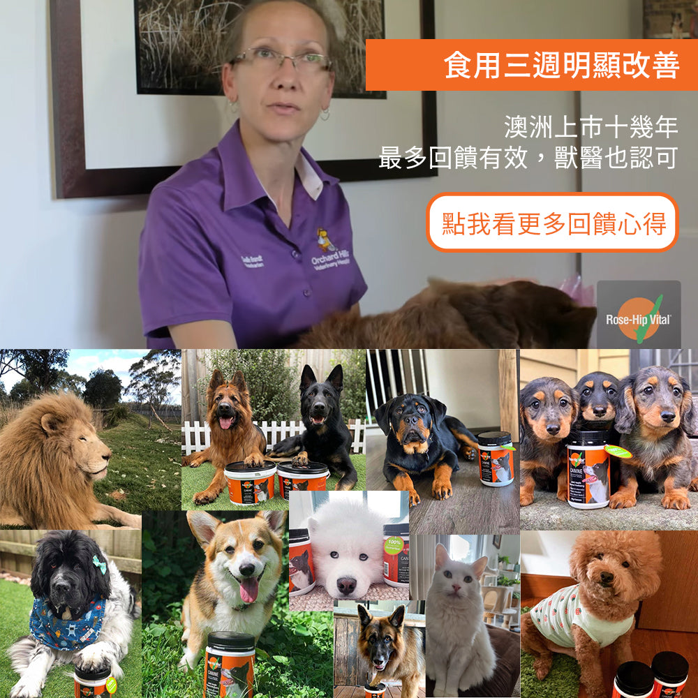 Rose-Hip Vital® Canine澳寵瑰寶®寵物營養保健粉 150g