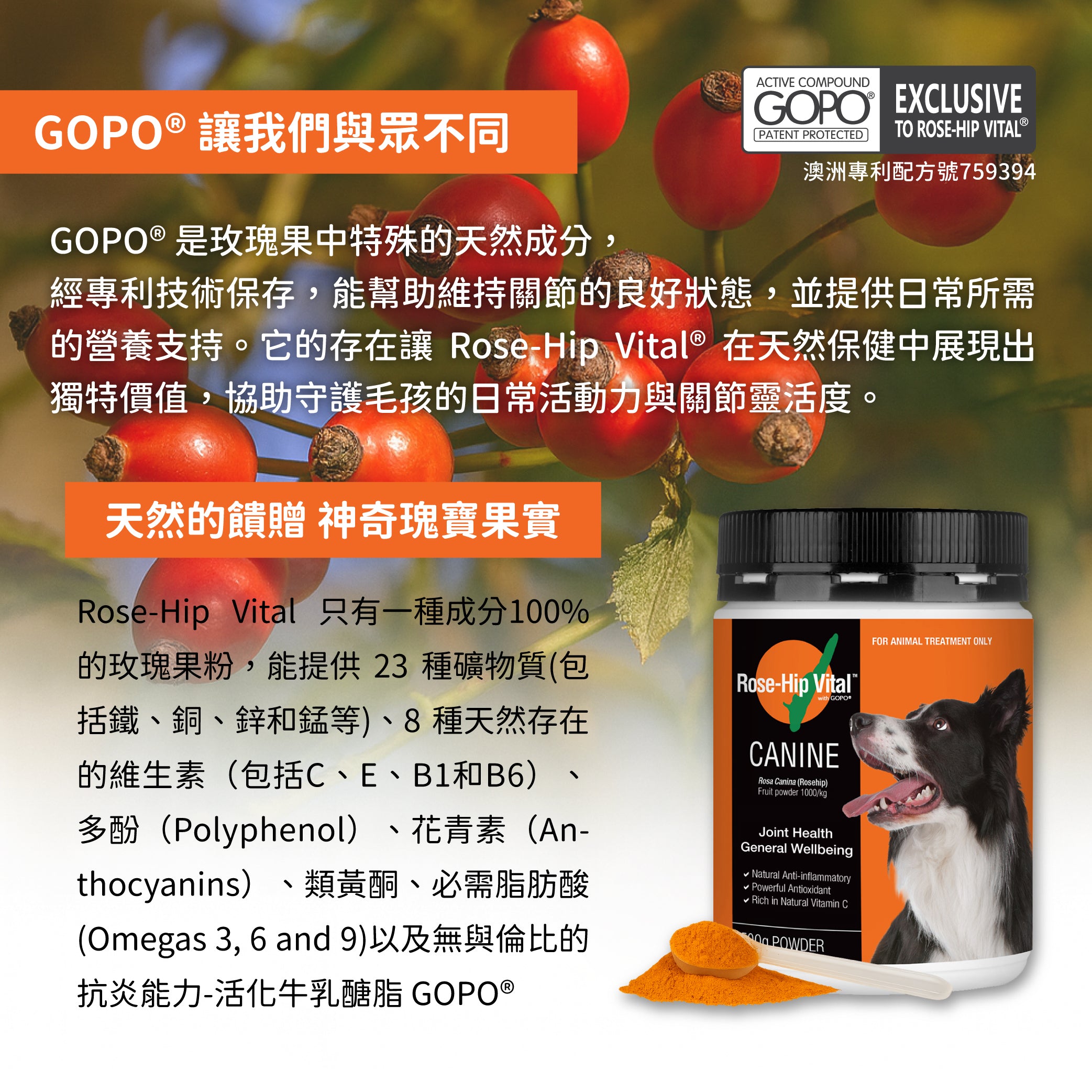 【組合】Rose-Hip Vital® Canine澳寵瑰寶®寵物營養保健粉 1.5kg + 500g