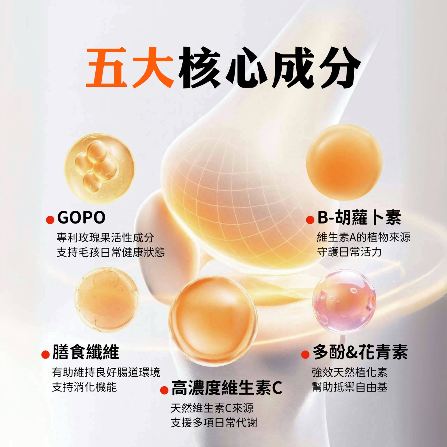 Rose-Hip Vital® Canine澳寵瑰寶®寵物營養保健粉 150g