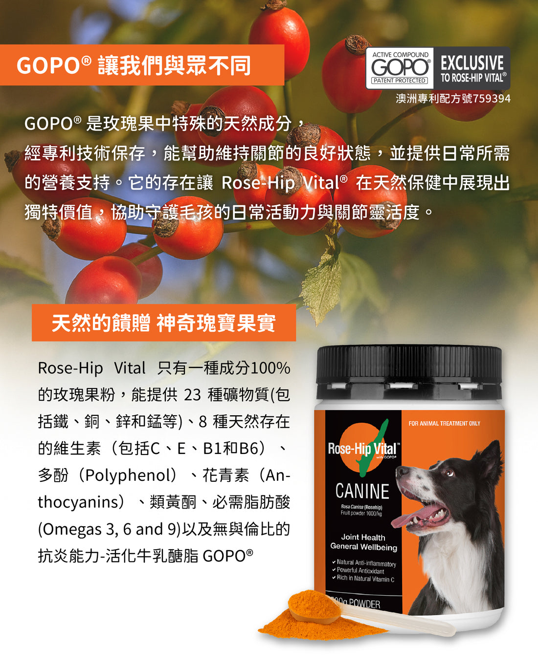 Rose-Hip Vital® Canine澳寵瑰寶®寵物營養保健粉 150g