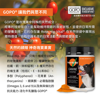 Rose-Hip Vital® Canine澳寵瑰寶®寵物營養保健粉 150g